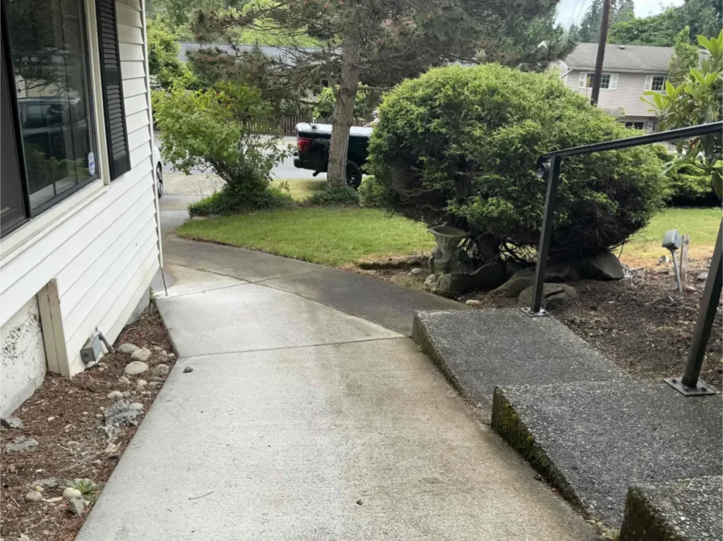 Front yard and stairs